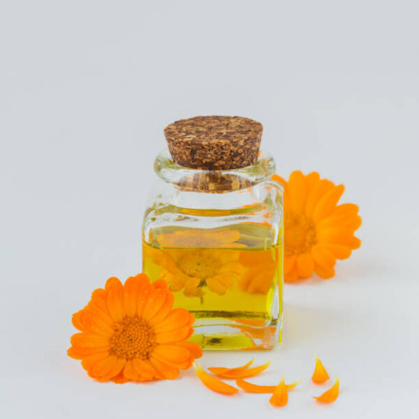 Aceite Esencial de Caléndula (Calendula officinalis)