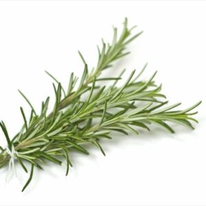 Hidrolato de Romero (Rosmarinus officinalis)