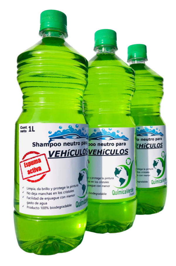 Shampoo neutro para vehículos - Imagen 3