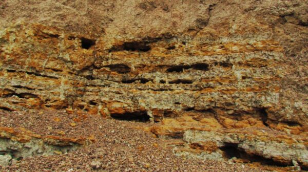 Arcillas naturales, color dorado - Imagen 2