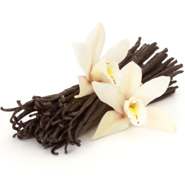 Hidrolato de Vainilla de Madagascar (Vanilla planifolia)