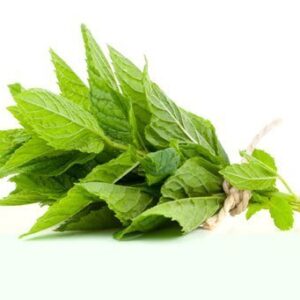 Hidrolato de Hierba Buena (Spearmint) (Mentha spicata)