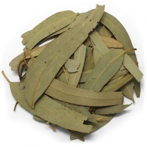 Tintura hidroalcohólica de Eucalipto (Eucaliptus globulus) 20%