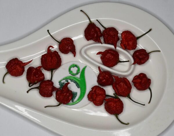 Semillas Viables De Chile Carolina Reaper - Imagen 2