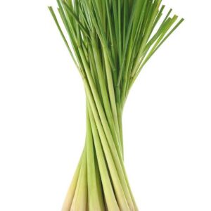 Hidrolato de Lemon Grass (Cymbopogon citratus)