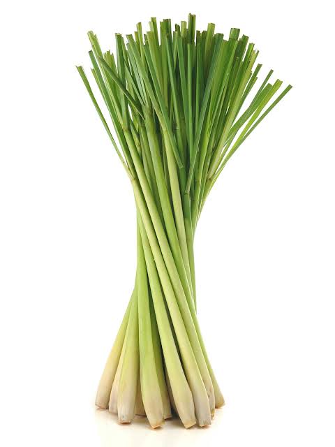 Hidrolato de Lemon Grass (Cymbopogon citratus)